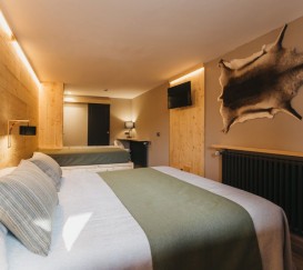 Superior room with private terrace and access to the garden