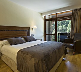 Classic superior double room with balcony and garden views